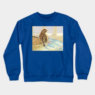 Seeds to Savour No.3 Sparrow Crewneck Sweatshirt